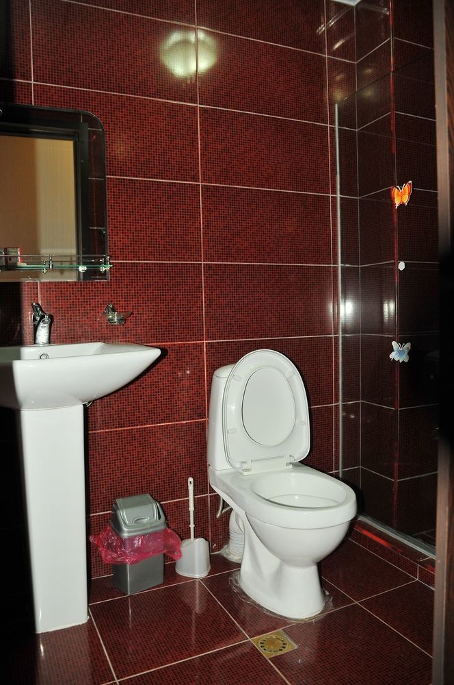 Alma-Ata Hotel Боржоми Екстериор снимка